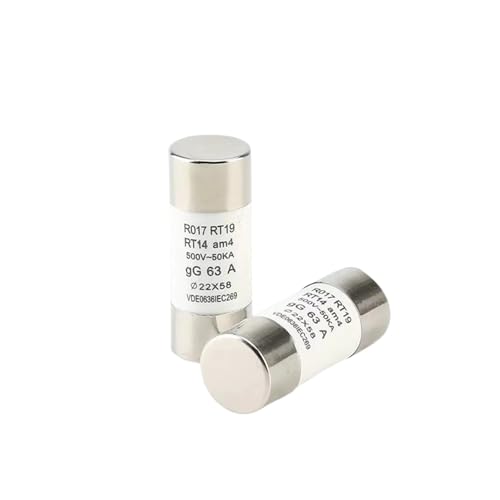 AIRUIXI Keramik-Sicherung 2 Stücke 22 * 58 flinke Keramiksicherung 22x58mm Sicherung 500 V 50KA 32A 40A 50A 63A 80A 100A 125A RO17 RT19 RT14 RT18(125A) von AIRUIXI
