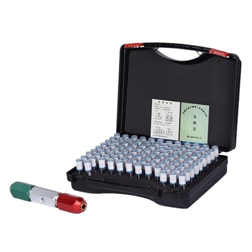 Stahlstiftlehre 51 Stück, 91 Stück, 98 Stück, 101 Stück, Präzisions-Stahlstiftlehre, Schrittweite 0,01 mm, glattes Lehrenlochlehren-Set, Stiftmesswerkzeug, Messwerkzeug(9.00-10.00mm 101pcs) von AIRUIXI