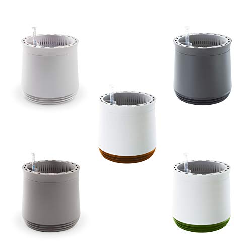AIRY System M (2302-605) • Natürlicher Luftreiniger • Filtert Schadstoffe, Allergene & Gerüche • AIRY Pot M (antikweiss) inkl. großen luftreinigenden Schwertfarn & 6-Liter-Substrat • Made in Germany (Weiß - Braun) von AIRY
