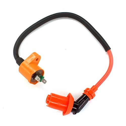AISEN 2 PINS Racing Zündspule 50CCM - 125CCM für Rex RS125 RS400 RS450 JINLUNG JL 50QT-4 von AISEN