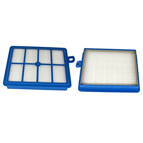 AISEN 2 Stück HEPA Staubsauger Filter für EFH12W H12 Philips FC6034 AEG 9001951194 / Boldio/Excellio/Oxygen/Praxio/Powersystem von AISEN