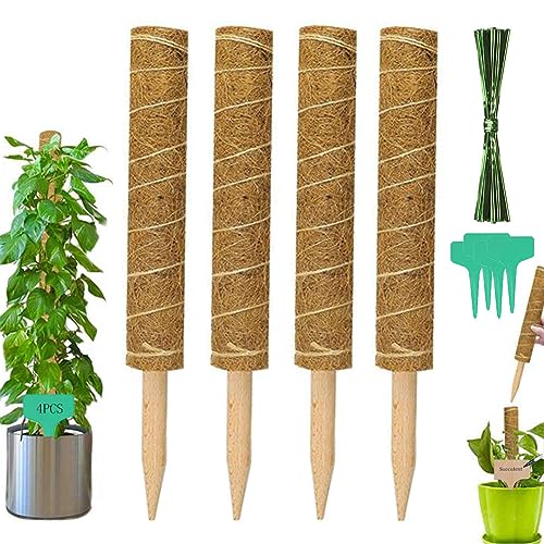 4 Stück Rankhilfe Zimmerpflanzstab 30cm Kokosstab Moosstab Garten Pflanzenunterstützung Kletter-Verlängerungsstange Pflanzen mit 4 Pflanzenetiketten und 100 Garten-Kabelbinder von AISHOW