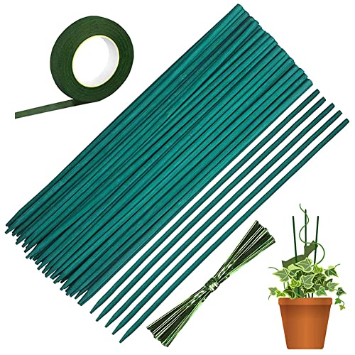 50 Stück Pflanzenstütze Pflanzstab Grün Pflanzenstab Bambusstäbe 38cm mit 30 Yard Blumen Papierband und 50 Pflanzenbänder für Haus Garten Kletterpflanze Erweiterung der Rankstäbe von AISHOW