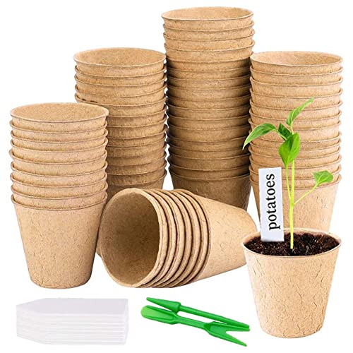 AISHOW Abbaubare Anzuchttöpfe 50 Stück 8cm Anzuchttöpfe Aussaattöpfe Pflanztopf Torftöpfe Runder Sämlingstopf Set mit 50 Stück Pflanzenetiketten and Garden Tools AISHOW Abbaubare Anzuchttöpfe 50 Stück 8cm Anzuchttöpfe Aussaattöpfe Pflanztopf Torftöpfe Runder Sämlingstopf Set mit 50 Stück Pflanzenetiketten and Garden Tools von AISHOW