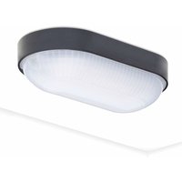 LED-Deckenleuchte für den Keller ovale Lampe Beleuchtung 4000K 800lm neutrales Weiß für den Keller Deckenlampe Feuchtigkeitsbeständige Lampe von AISKDAN