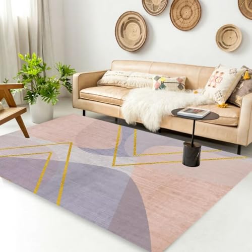 AITROMNI Pink Katzen Teppich Modernes minimalistisches geometrisches Muster Wohnzimmer Schlafzimmer mit Teppich waschbar 160X270CM von AITROMNI