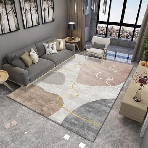 AITROMNI Teppuch Washable Carpet Grau Wohnzimmer Heimdekoration Zubehör Esszimmer Teppich modern Non-Fading Deko 70X140CM von AITROMNI