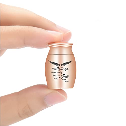 Kleine Urnen Einäscherung Keepsakes für Asche Mini Kremation Urnen für Mensch oder Haustier Asche Urnen Memorial Asche Halter (Flügel-Roségold) von AIWENXI