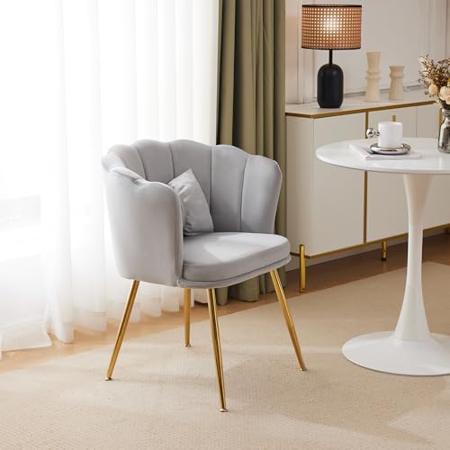 AIWMQYYF Samt Esszimmerstuhl 1er Set, Wohnzimmerstuhl Küchenstühle mit Rückenlehne, Armlehne, Badezimmerstühlen, Stühle Esszimmer für Esszimmer, Wohnzimmerstühle (Grau) von AIWMQYYF