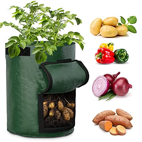 AIYONG Kartoffel Pflanzsack Pflanzbeutel 10 Gallone Gemüse Tomatenpflanzen Pflanzsäck, Pflanzsack Kartoffel mit Griffen Sichtfenster, Pflanzen Tasche für Blumen, Pflanzen, Gemüse (Dark Green) von AIYONG