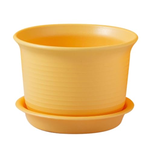 AIchenYW Innen und Außen Bumentöpfe Sukkulenten Pflanzgefäße Stilvoll Elegant Blumentöpfe Umweltfreundlich Pflegeleicht Übertöpfe Farbenfroh Funktionell Pflanzkübel (Yellow, C) von AIchenYW