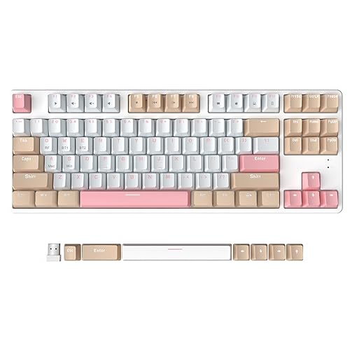 AJAZZ AK871 Kabellose Gaming-Tastatur 75%, Bluetooth/2,4 GHz Wireless Dual-Modi, TKL 80% Mechanische Tastatur mit Hot-Swappable Linear Red Switch, Kompakte 87 Tasten Non-Backlit für Win/Mac – Weiß AJAZZ AK871 Kabellose Gaming-Tastatur 75%, Bluetooth/2,4 GHz Wireless Dual-Modi, TKL 80% Mechanische Tastatur mit Hot-Swappable Linear Red Switch, Kompakte 87 Tasten Non-Backlit für Win/Mac – Weiß von AJAZZ