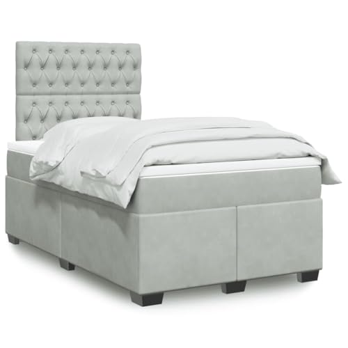 AJJHUUKI Boxspringbett mit Matratze Hellgrau 120x190 cm kleines Doppelbett Samt-Möbel, Betten & Zubehör, Betten & Bettrahmen AJJHUUKI Boxspringbett mit Matratze Hellgrau 120x190 cm kleines Doppelbett Samt-Möbel, Betten & Zubehör, Betten & Bettrahmen von AJJHUUKI