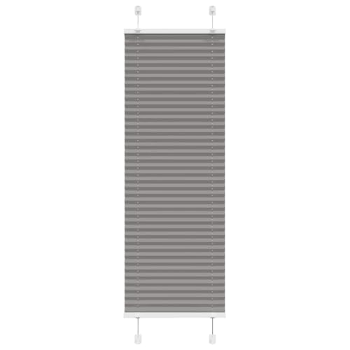 AJJHUUKI Decor-Fensterbehandlungen, Fensterrollos & Schatten, Plisseerollo anthrazit, 45 x 150 cm, Stoffbreite 44,4 cm, Polyester von AJJHUUKI