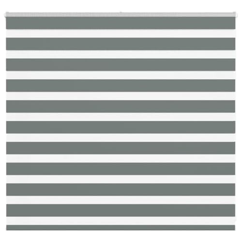 AJJHUUKI Decor-Fensterrollo, Zebra-Motiv, 165 x 100 cm, Stoffbreite 160,9 cm, Polyester von AJJHUUKI