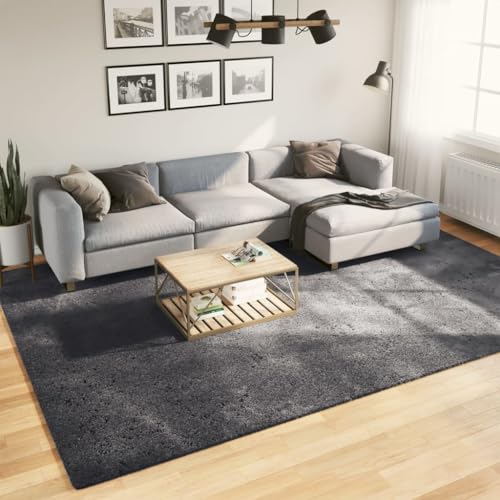 AJJHUUKI Decor-Rugs-Rug HUARTE Kurzflor weich und waschbar anthrazit 240x340 cm von AJJHUUKI