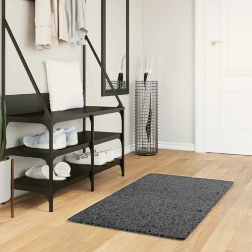 AJJHUUKI Decor-Rugs-Rug OVIEDO Kurzflor Anthrazit 60x110 cm von AJJHUUKI