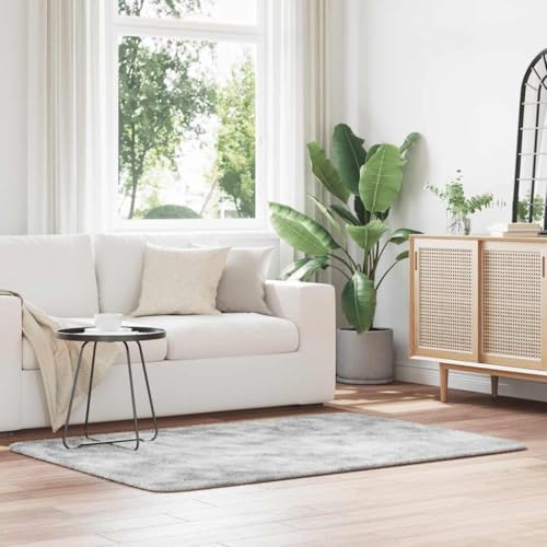 AJJHUUKI Decor-Rugs Shaggy Teppich Hochflor NAVARRA Silber Grau 120x170 cm Polyester von AJJHUUKI