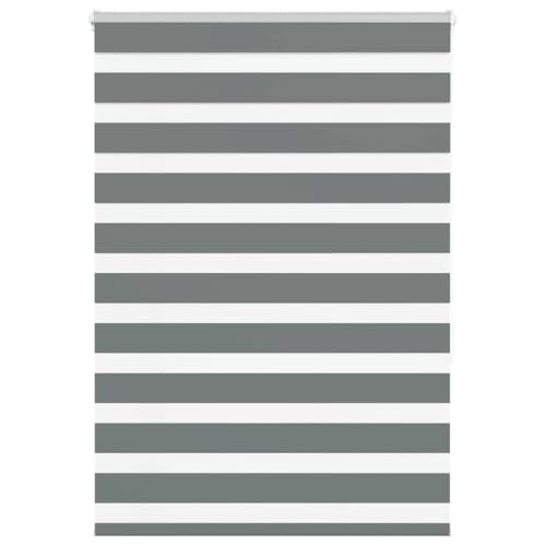 AJJHUUKI Decor-Window Treatments Fensterrollos & Schattierungen, Zebra-Rollo, Dunkelgrau, 95 x 150 cm, Stoffbreite 90,9 cm, Polyester von AJJHUUKI