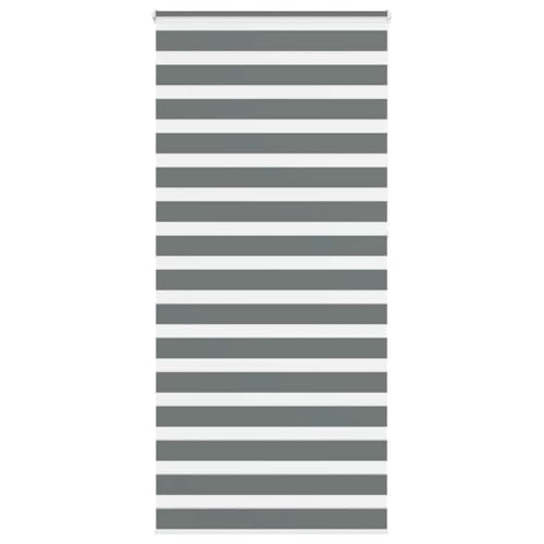 AJJHUUKI Decor-Window Treatments Fensterrollos & Schattierungen, Zebra-Rollo, Dunkelgrau, 95 x 230 cm, Stoffbreite 90,9 cm, Polyester von AJJHUUKI