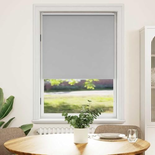 AJJHUUKI Decor-Window Treatments-Fensterrollos & Shades-Rollo, Verdunkelung, 80 x 175 cm, Grau von AJJHUUKI