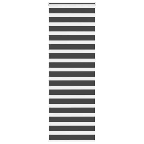 AJJHUUKI Dekor-Fensterrollo, 70 x 230 cm, Stoffbreite: 65,9 cm, Polyester, Schwarz von AJJHUUKI