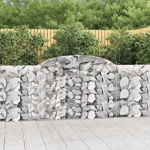 AJJHUUKI Rasen & Gartenarbeit Töpfe & Pflanzgefäße Gewölbte Gabionenkörbe 13 Stück 300x30x100/120 cm Eisen verzinkt AJJHUUKI Rasen & Gartenarbeit Töpfe & Pflanzgefäße Gewölbte Gabionenkörbe 13 Stück 300x30x100/120 cm Eisen verzinkt von AJJHUUKI