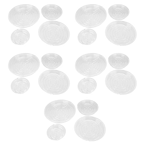 20pcs Pflanzenuntertassenschale 6in 8in 10in 12in schweres Kunststoff klarer Blütenpflanzentopf Tropfschale für Innen im Freien im Freien 20pcs Pflanzenuntertassenschale 6in 8in 10in 12in schweres Kunststoff klarer Blütenpflanzentopf Tropfschale für Innen im Freien im Freien von AJUNJIIL