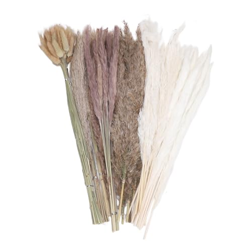 AJUNJIIL 110 PCS Getrocknete Pampas Gras Dekor Rustikale Phragmiten Getrocknete Blumen Bouquet für Hochzeit AJUNJIIL 110 PCS Getrocknete Pampas Gras Dekor Rustikale Phragmiten Getrocknete Blumen Bouquet für Hochzeit von AJUNJIIL