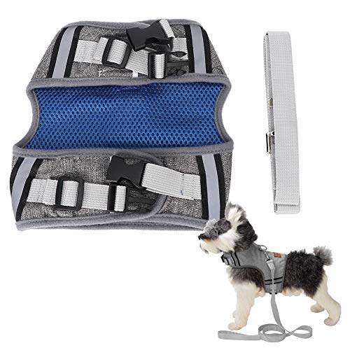 Ajunjiil Haustierkabelbaum für Hunde und Katzen, atmungsaktive Mesh -Weste von Polyester, Design des Brustgurts, verstellbare Traktionsleine, Ziehkontrolle, sichere und Bequeme (Gray) von AJUNJIIL