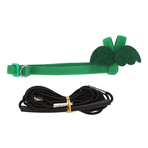 Ajunjiil Papageigurt Leine, einstellbare elastische Bissbeständigkeit, ergonomische Haustier -Vogel -Traktionseil, für Papageien mit niedlichen Flügeln, sichere Flugsteuerung, (Green) von AJUNJIIL
