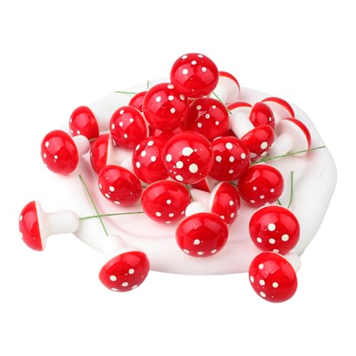 30 Stück Pilze Deko,Mini Rote Pilze,Dekopilze zum Basteln,Fliegenpilze Deko,Gartenpilze Blumentopf Pilz Dekoration,Decor Zubehör für Micro Landschaft Gartendekoration Diy Potting Pflanzen(1.5cm) 30 Stück Pilze Deko,Mini Rote Pilze,Dekopilze zum Basteln,Fliegenpilze Deko,Gartenpilze Blumentopf Pilz Dekoration,Decor Zubehör für Micro Landschaft Gartendekoration Diy Potting Pflanzen(1.5cm) von AJUNLKVDR