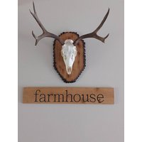 Beschläge Für Hirsche Beschläge Für Hirsche von AJWorkshopDesign