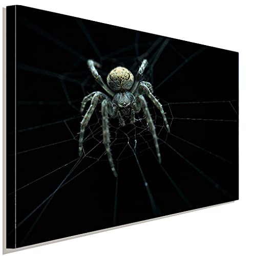AK ART Spinne Spinnennetz Leinwandbild Kunstdruck Mehrfarbig Wandbild Wanddeko (60 x 40 cm) von AK ART