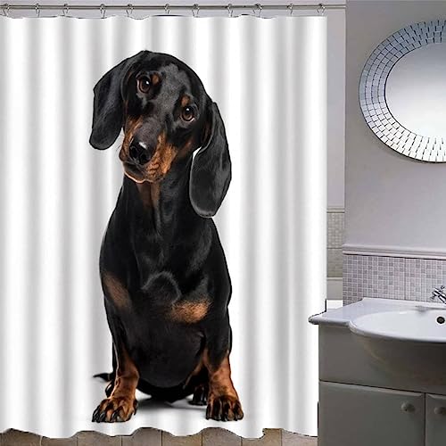 AKATIE Dackel Duschvorhang 180x200 Hund Tier Bad Vorhäng Anti-Schimmel Textil Anti-Bakteriel 3D Wasserdicht Duschvorhänge Badewanne mit 12 Hooks von AKATIE