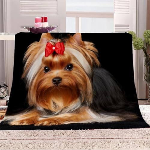 AKATIE Decke Yorkshire-Terrier Kuscheldecke 200x200 Winter Sommer Kuscheldecke Tiere Hunde Bett Wohndecke Sofaüberwurf Decke Tagesdecke Weiche Mikrofaser Flanelldecke von AKATIE