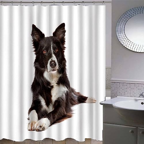 AKATIE Duschvorhang 180x180 Erwachsene Duschvorhang Border Collie 3D Motiv Schwer Stoff Polyester Badvorhang Hund Tier Weiß Duschvorhang Waschbar Anti Schimmel von AKATIE