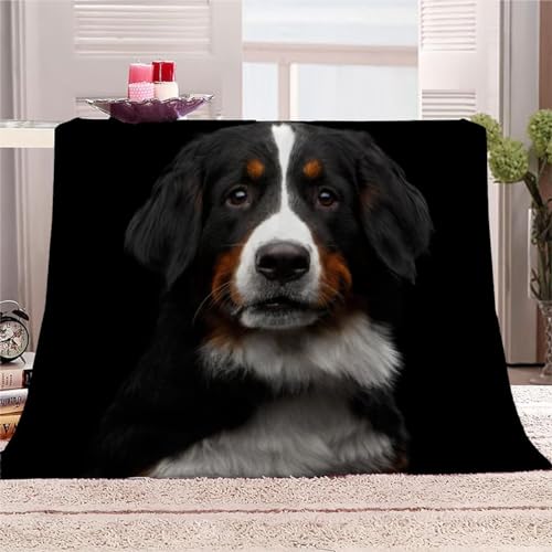 AKATIE Kuscheldecke 150x200 Berner Sennenhund Flanelldecke 3D Drucken Kuscheldecke Schwarz Tierisch Super Soft Wohndecke Flauschige Decke Mikrofaser Sofadecke Bettüberwurf von AKATIE