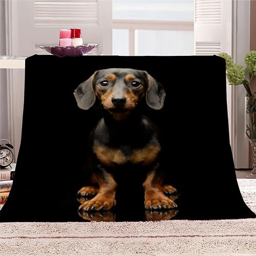 AKATIE Kuscheldecke 150x200 Dackel Flanelldecke 3D Drucken Kuscheldecke Hund Tier Schwarz Super Soft Wohndecke Flauschige Decke Mikrofaser Sofadecke Bettüberwurf von AKATIE