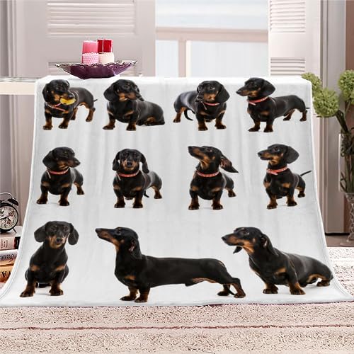 AKATIE Kuscheldecke 150x200 Dackel Flanelldecke 3D Drucken Kuscheldecke Welpe Süßer Tierhund Super Soft Wohndecke Flauschige Decke Mikrofaser Sofadecke Bettüberwurf von AKATIE