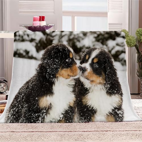 AKATIE Kuscheldecke Berner Sennenhund 3D-Druck Kinder Sofadecke Flanelldecke Hund Tier Winterschnee Couchdecke Flauschige Wohndecke 130x150 cm Reisedecke Sofaüberwurf Decke von AKATIE