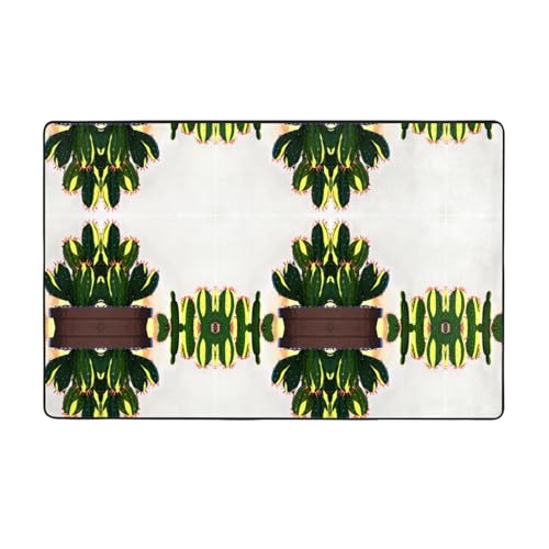 AKGFFDS Flanell-Teppich mit Kaktus-im-Topfdruck, 152,4 x 99,1 cm, Bodenmatte für Wohnzimmer, Büro, Couchtisch, Bett, Balkon von AKGFFDS