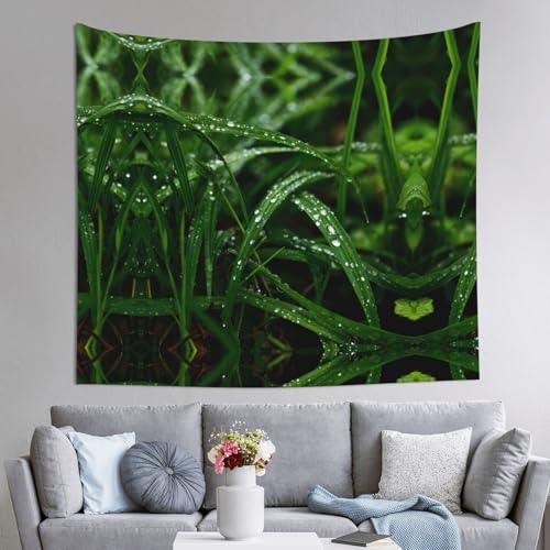 AKGFFDS Tapisserie Nieselregen befeuchtet das Gras, Druck, 152,4 x 129,5 cm, weich, leicht, für den Innen- und Außenbereich. Für Schlafzimmer, Schlafsaal, Strandtuch, Picknicktücher AKGFFDS Tapisserie Nieselregen befeuchtet das Gras, Druck, 152,4 x 129,5 cm, weich, leicht, für den Innen- und Außenbereich. Für Schlafzimmer, Schlafsaal, Strandtuch, Picknicktücher von AKGFFDS