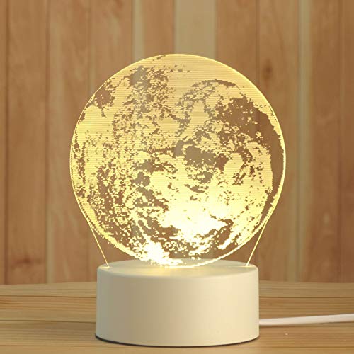 AKIS HOME 3D Nachtlicht, LED Illusion Lampe mit Smart Touch 7 Farben für Wohnzimmer Schlafzimmer, Geburtstagsgeschenk für Mädchen Junge (Erde, 3-farbig) von AKIS ALIVE KITCHEN IDEA STUDIO