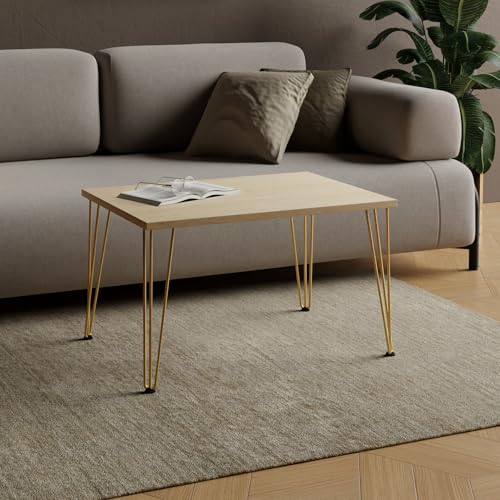AKKE Couchtisch Wohnzimmertisch Beistelltisch Mit Metallbeinen Laminierte Platte Höhe 55cm Tisch Für Wohnzimmer Modern Loft Stil Moderno Ahorn 80x50cm von AKKE