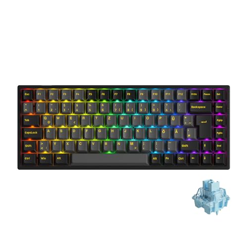 AKKO 3084B Plus Mechanische Tastatur (Tri-Mode), RGB, ISO-DE-Layout, Hot-Swap (Schwarzgold, V3 Pro Cremeblau) von AKKO