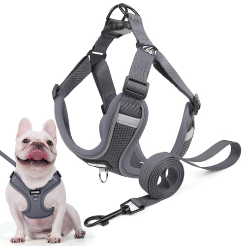 Hundegeschirr für Kleine Mittelgroße Hunde, Anti Zug Reflektierend Welpengeschirr mit Leine, Verstellbar Air Mesh Atmungsaktiv Brustgeschirr für Hunde Gassigehen, Training und Reisen (Grau, XL) von AKOFIC