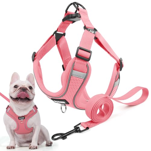 Hundegeschirr für Kleine Mittelgroße Hunde, Anti Zug Reflektierend Welpengeschirr mit Leine, Verstellbar Air Mesh Atmungsaktiv Brustgeschirr für Hunde Gassigehen, Training und Reisen (Pink, XL) von AKOFIC
