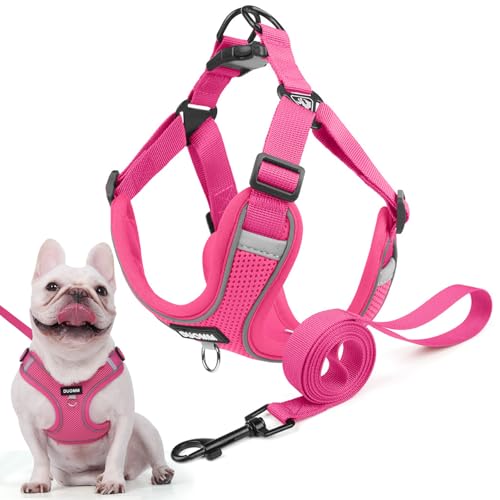 Hundegeschirr für Kleine Mittelgroße Hunde, Anti Zug Reflektierend Welpengeschirr mit Leine, Verstellbar Air Mesh Atmungsaktiv Brustgeschirr für Hunde Gassigehen, Training und Reisen (Rosenrot, L) von AKOFIC