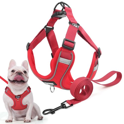 Hundegeschirr für Kleine Mittelgroße Hunde, Anti Zug Reflektierend Welpengeschirr mit Leine, Verstellbar Air Mesh Atmungsaktiv Brustgeschirr für Hunde Gassigehen, Training und Reisen (Rot, S) von AKOFIC